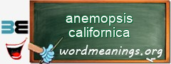 WordMeaning blackboard for anemopsis californica